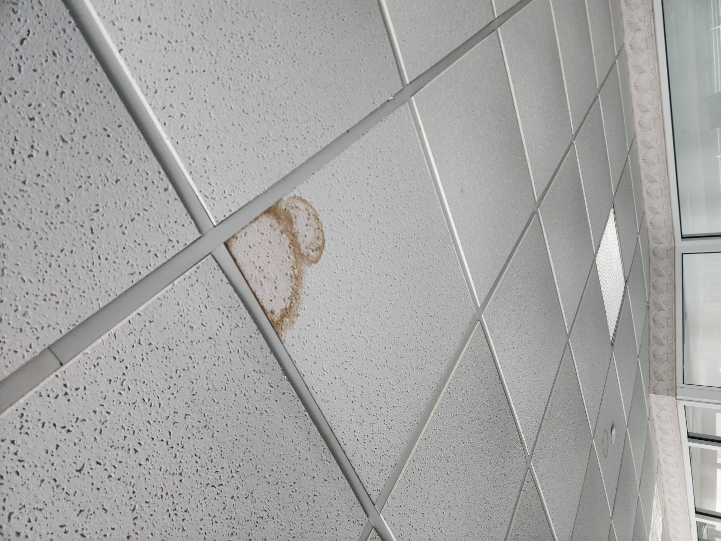 Gym Ceiling 1